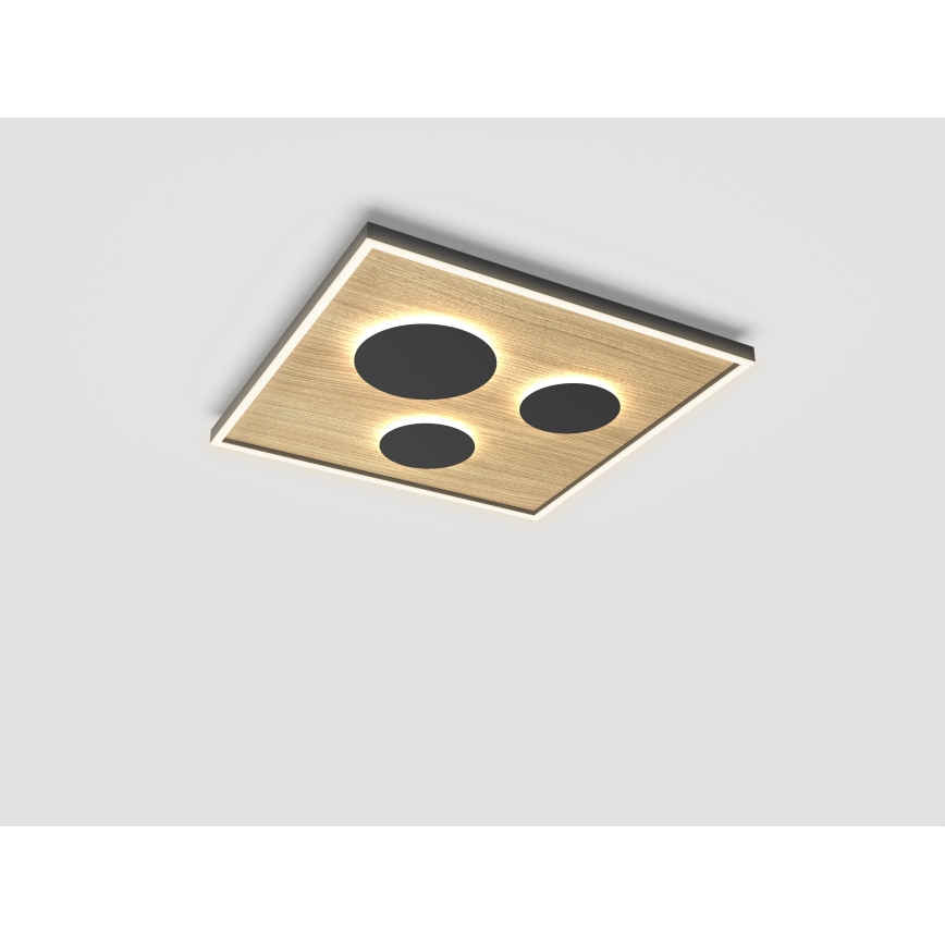 Wofi 9012-306L - LED Dimbar taklampa DIJON LED/40W/230V