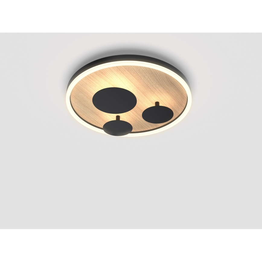 Wofi 9013-306S - LED dimbar taklampa REIMS LED/26W/230V