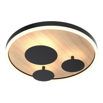 Wofi 9013-306S - LED dimbar taklampa REIMS LED/26W/230V