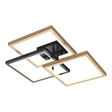 Wofi 9022-306S - LED Dimbar taklampa MATERA LED/40W/230V