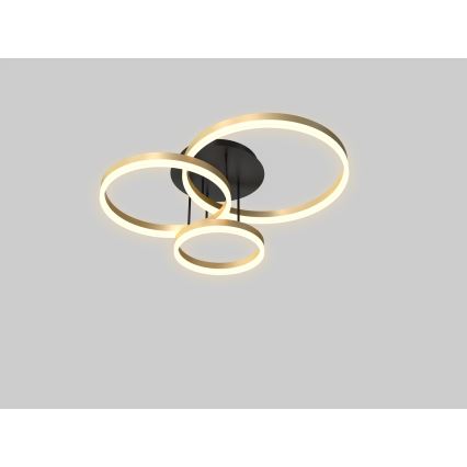 Wofi 9049-401 - LED dimbar taklampa PERPIGNAN LED/51W/230V guld