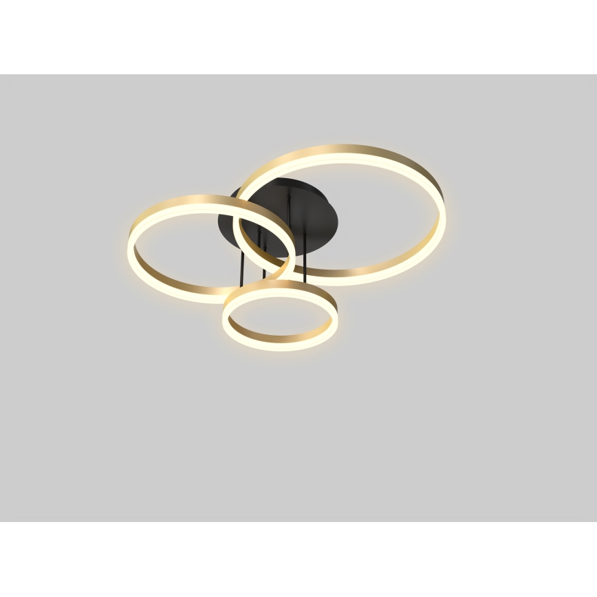 Wofi 9049-401 - LED dimbar taklampa PERPIGNAN LED/51W/230V guld