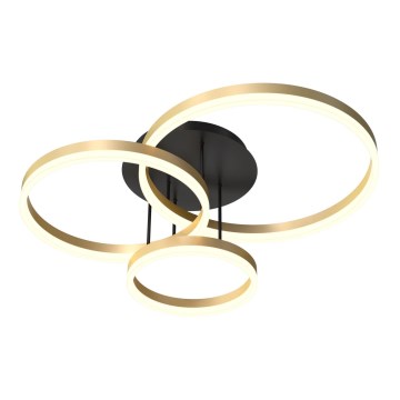 Wofi 9049-401 - LED dimbar taklampa PERPIGNAN LED/51W/230V guld