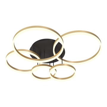 Wofi 9049-601 - Dimbar LED ytmonterad ljuskrona PERPIGNAN LED/80W/230V guld