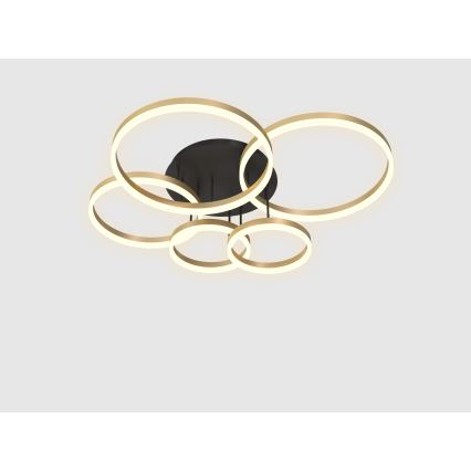 Wofi 9049-601 - Dimbar LED ytmonterad ljuskrona PERPIGNAN LED/80W/230V guld
