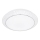 Wofi 9246.01.06.6410 - LED Dimbar Takbelysning VELDEN LED/18W/230V