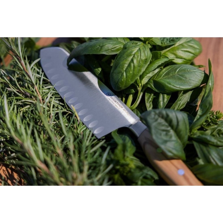 Wüsthof - Kökskniv santoku AMICI 17 cm olivträ