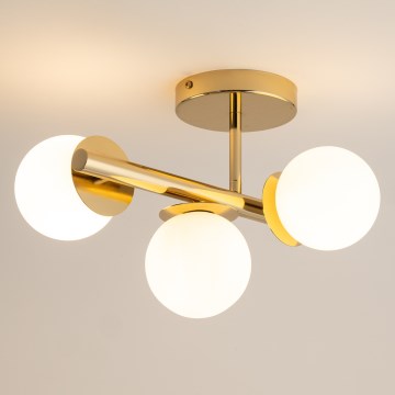 Ytmonterad ljuskrona AVOLA 3xG9/12W/230V guld