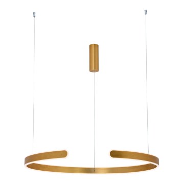 Zambelis 2012 - LED ljusreglerad ljuskrona på textilsladd LED/40W/230V guld