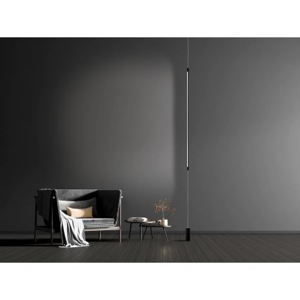 Zambelis 20184 - LED golvlampa LED/22W/230V