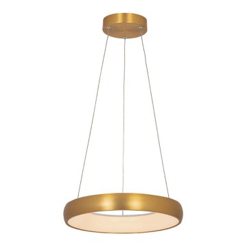 Zambelis 2046 - LED ljusreglerad ljuskrona på textilsladd LED/30W/230V diameter 40 cm guld
