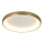 Zambelis 2050 - LED Dimbar taklampa LED/50W/230V diameter 60 cm guld