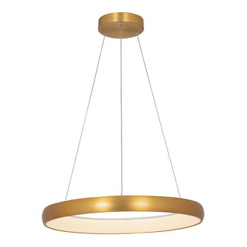 Zambelis 2054 - LED ljusreglerad ljuskrona på textilsladd LED/50W/230V diameter 60 cm guld