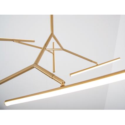 Zambelis 2071 - LED Dimbar pendellampa LED/49W/230V guld