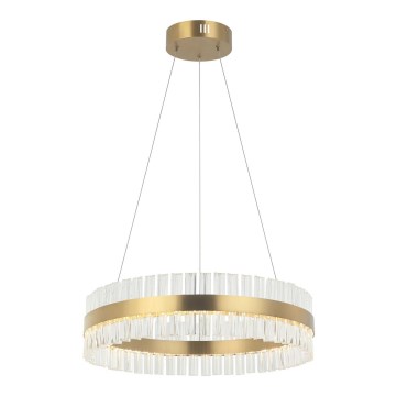 Zambelis 22039 - LED ljusreglerad ljuskrona på textilsladd LED/56W/230V guld