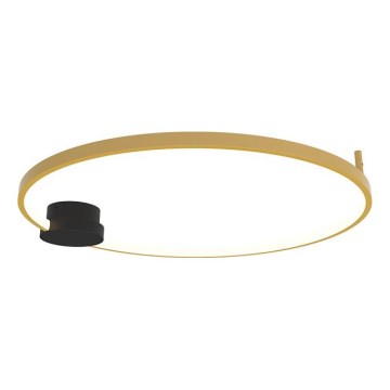 Zambelis 23096 - LED Dimbar taklampa LED/24W/230V 3000K diameter 60 cm guld
