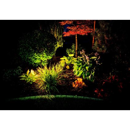 Zambelis E153 - LED-lampa för utomhusbruk LED/5W/230V IP65 antracit