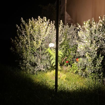 Zambelis E280 - LED-lampa för utomhusbruk LED/15W/230V IP65 brun