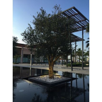Zambelis E310 - Utomhuslampa 1xGU10/7W/230V IP54