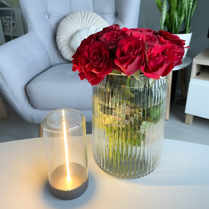 Zuma Line - LED Dimbart uppladdningsbart skrivbordslampa LED/0,5W/230V svart IP54