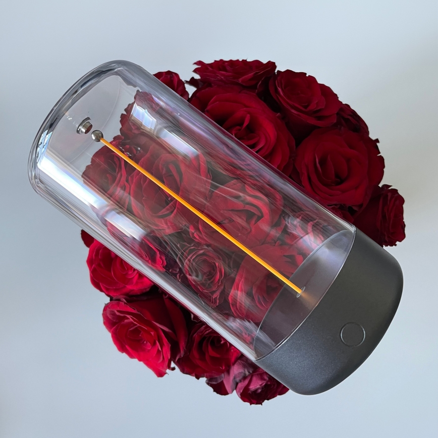 Zuma Line - LED Dimbart uppladdningsbart skrivbordslampa LED/0,5W/230V svart IP54