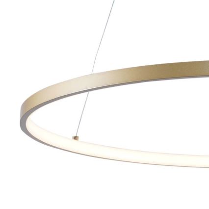 Zuma Line - LED ljuskrona med textilsladd LED/36W/230V 3000/4000/6000K diameter 80 cm guld
