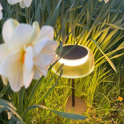 Zuma Line - LED Ljusreglerad solcell uppladdningsbar bordslampa LED/2,5W/2000 mAh IP44 svart