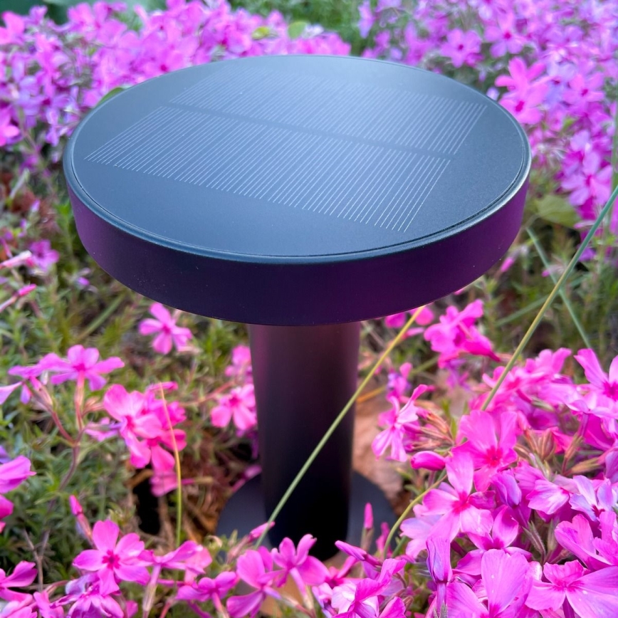 Zuma Line - LED Ljusreglerad solcell uppladdningsbar bordslampa LED/2W/2000 mAh IP44 svart