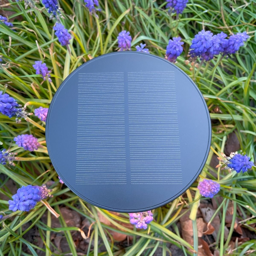 Zuma Line - LED Ljusreglerad solcell uppladdningsbar bordslampa LED/2W/2000 mAh IP44 svart