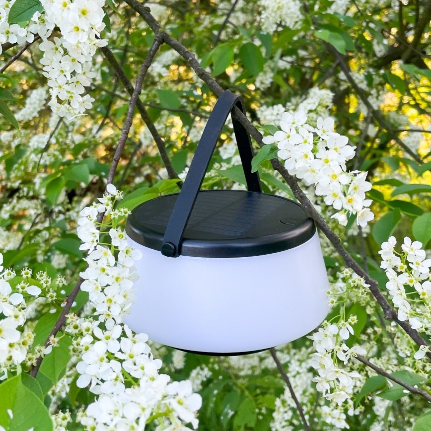 Zuma Line - LED Ljusreglerad solcell uppladdningsbar bordslampa LED/2,2W/2000 mAh IP44 svart