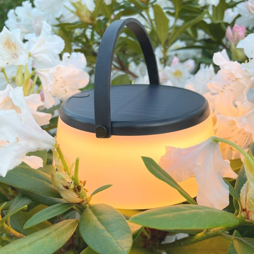 Zuma Line - LED Ljusreglerad solcell uppladdningsbar bordslampa LED/2,2W/2000 mAh IP44 svart