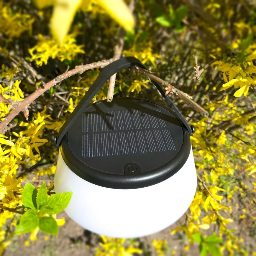 Zuma Line - LED Ljusreglerad solcell uppladdningsbar bordslampa LED/2,2W/2000 mAh IP44 svart