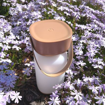 Zuma Line - LED Dimbart uppladdningsbart skrivbordslampa LED/3W/1200 mAh 3000/4000/6500K IP44 brun