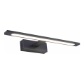 Zuma Line - LED badrumsspegelbelysning LED/12W/230V 41 cm IP44 svart