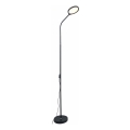 Zuma Line - LED Dimbar Golvlampa LED/10W/230V 3000/4500/6500K svart
