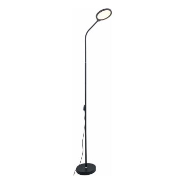 Zuma Line - LED Dimbar Golvlampa LED/10W/230V 3000/4500/6500K svart