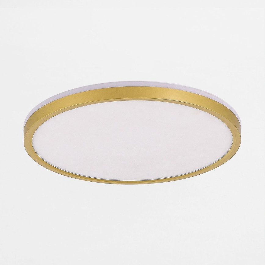 Zuma Line - LED Dimbar taklampa LED/26,5W/230V + LED/6,5W 3000/4000/5500K diameter 32 cm guld