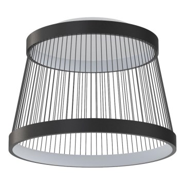 Zuma Line - LED Dimbar taklampa LED/32W/230V 2700-6000K svart + fjärrkontroll