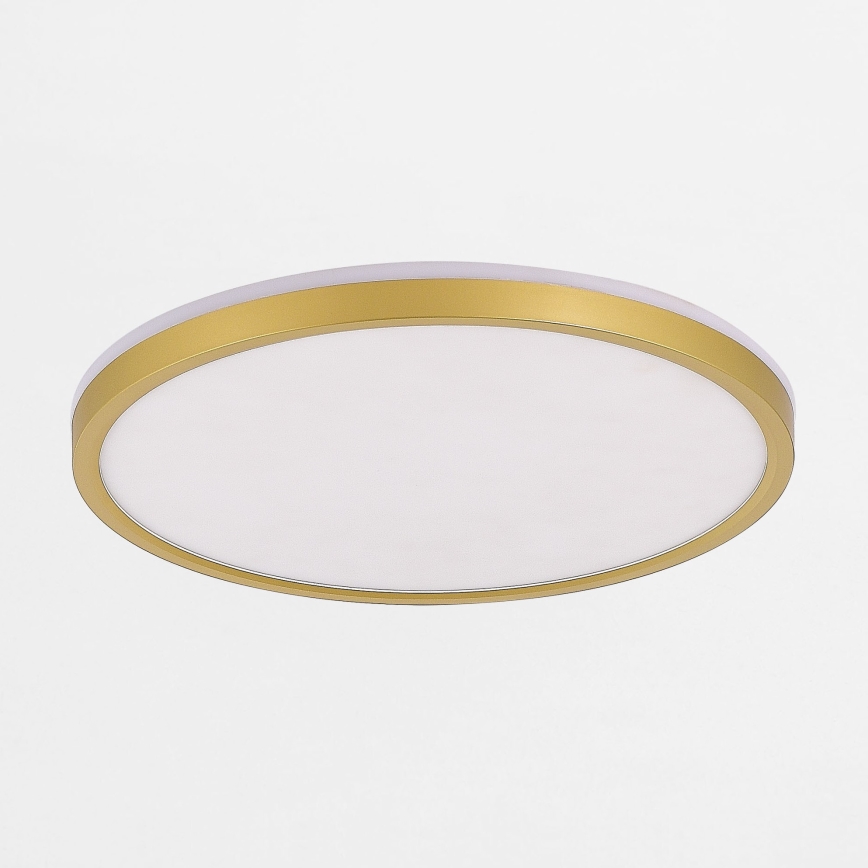 Zuma Line - LED Dimbar taklampa LED/38W/230V + LED/11W 3000/4000/5500K diameter 50 cm guld