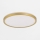 Zuma Line - LED Dimbar taklampa LED/38W/230V + LED/11W 3000/4000/5500K diameter 50 cm guld