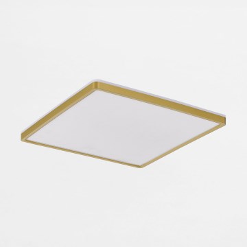 Zuma Line - LED Dimbar taklampa LED/38W/230V + LED/12W 3000/4000/5500K 40x40 cm guld