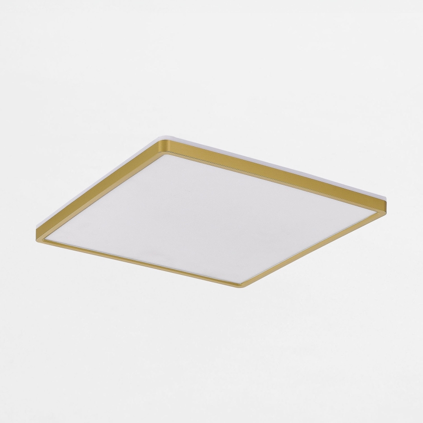 Zuma Line - LED Dimbar taklampa LED/38W/230V + LED/12W 3000/4000/5500K 40x40 cm guld