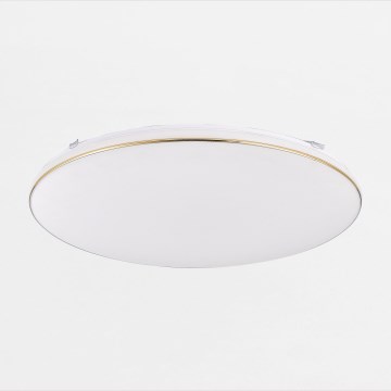 Zuma Line - LED Dimbar taklampa OMAR LED/48W/230V diameter 53 cm guld