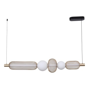 Zuma Line - LED-dimbar takpendel på vajer LED/27W/230V 3000-5700K guld + fjärrkontroll