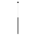 Zuma Line - LED-lampa i tak med kabel LED/5W/230V svart blank krom