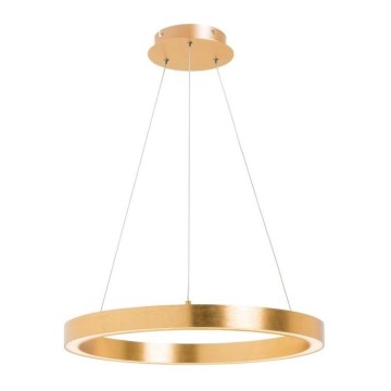 Zuma Line - LED Ljuskrona med upphängningsrem  1xLED/40W/230V diameter  50 cm gyllene 