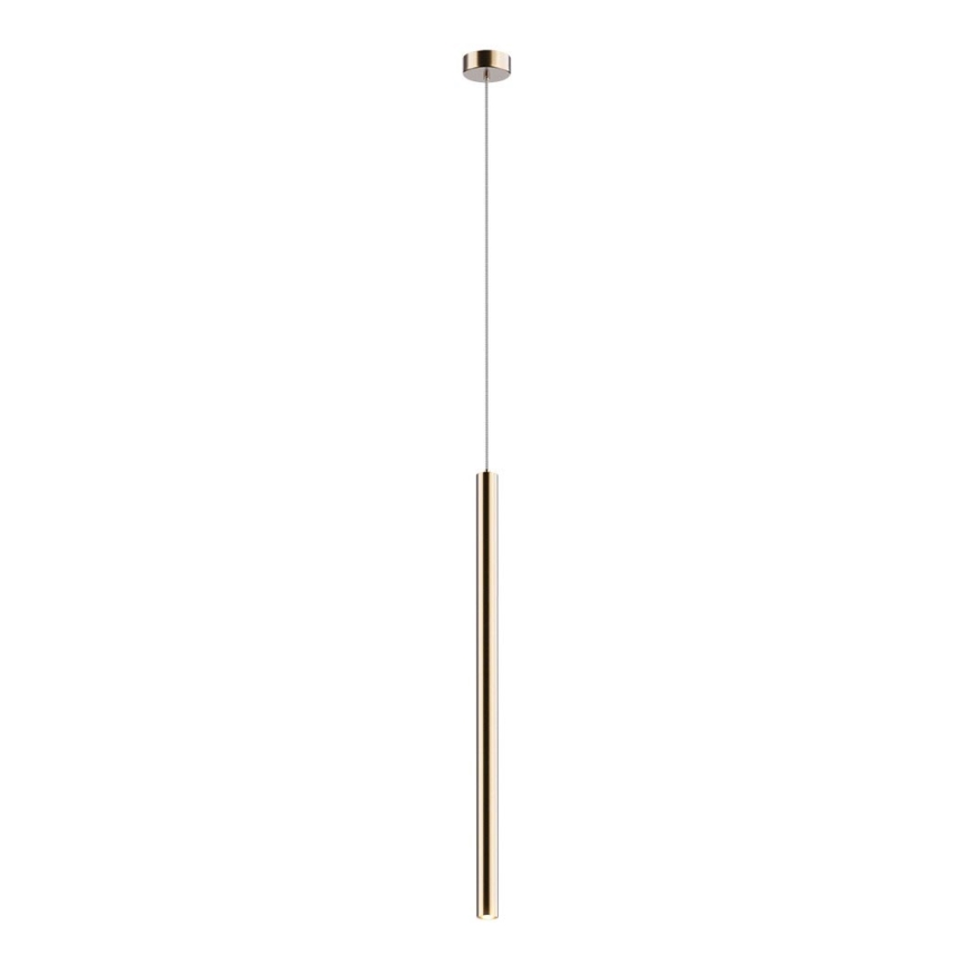 Zuma Line - LED Ljuskrona med upphängningsrem  LED/5W/230V