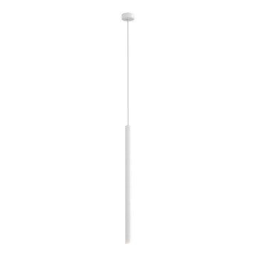 Zuma Line - LED Ljuskrona med upphängningsrem  LED/5W/230V