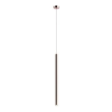 Zuma Line - LED Ljuskrona med upphängningsrem  LED/5W/230V