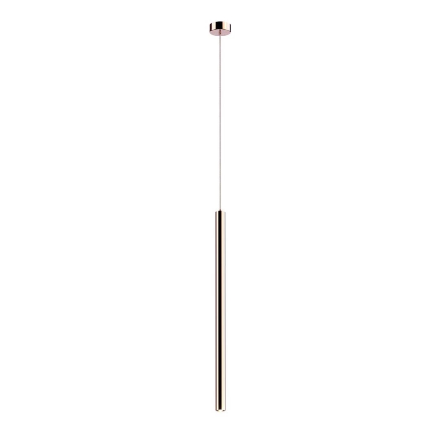 Zuma Line - LED Ljuskrona med upphängningsrem  LED/5W/230V